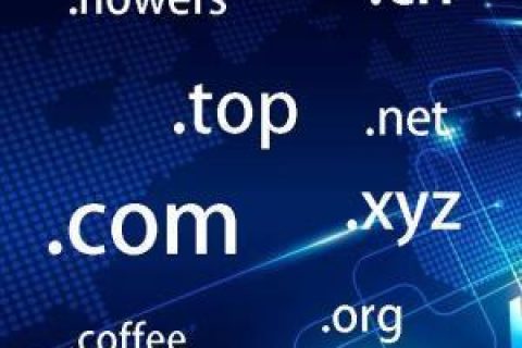 拉薩網(wǎng)站建設(shè)常見問題之什么是域名？如何購(gòu)買和選購(gòu)域名？